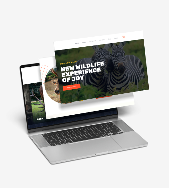 Safari Turları Web Sitesi