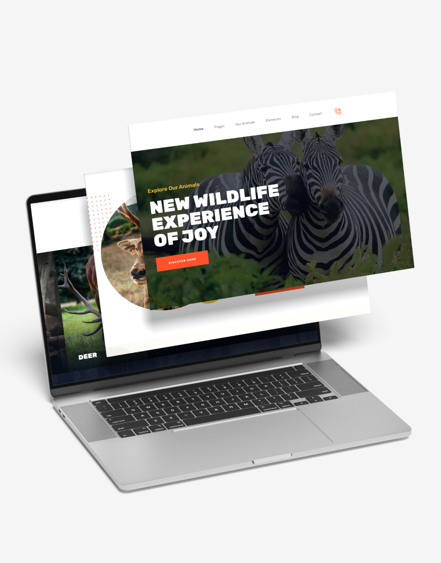 Safari Turları Web Sitesi