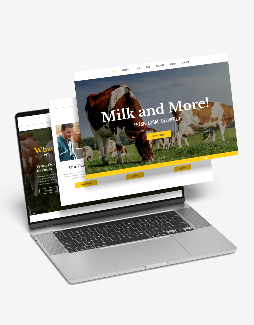 Süt Ürünleri & Peynircilik Web Sitesi