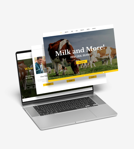 Süt Ürünleri & Peynircilik Web Sitesi